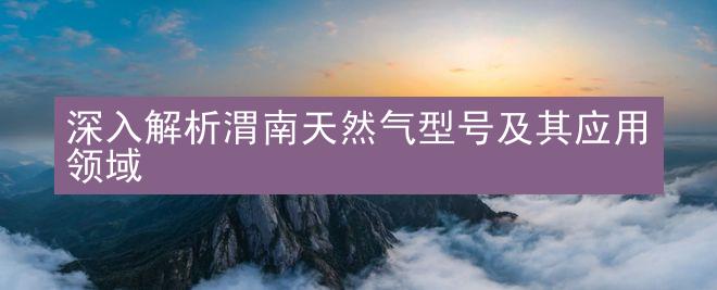 深入解析渭南天然气型号及其应用领域